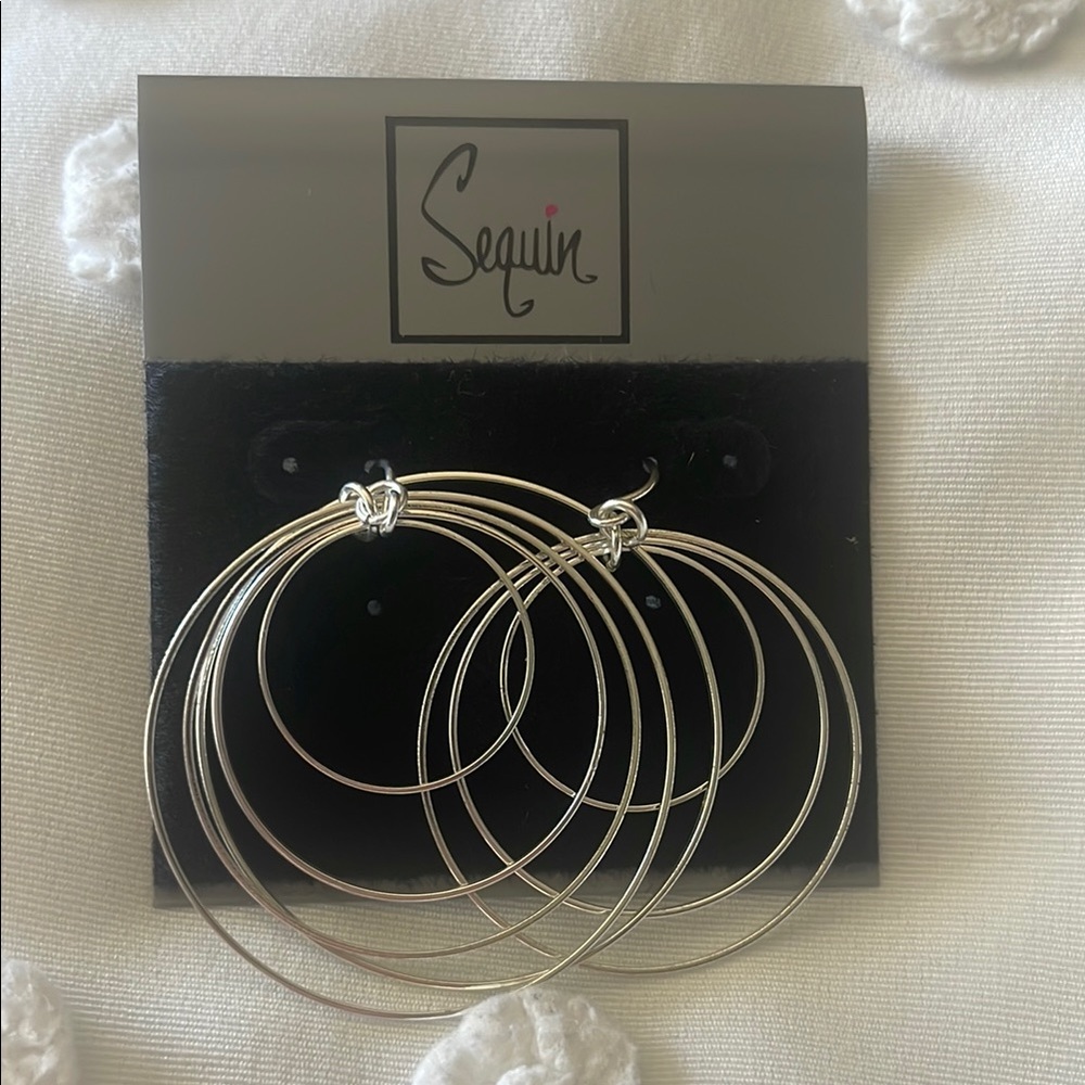 Silver Hoop Earrings